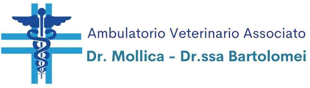 Ambulatorio Veterinario Associato <br>Dr. Mollica - Dr.ssa Bartolomei